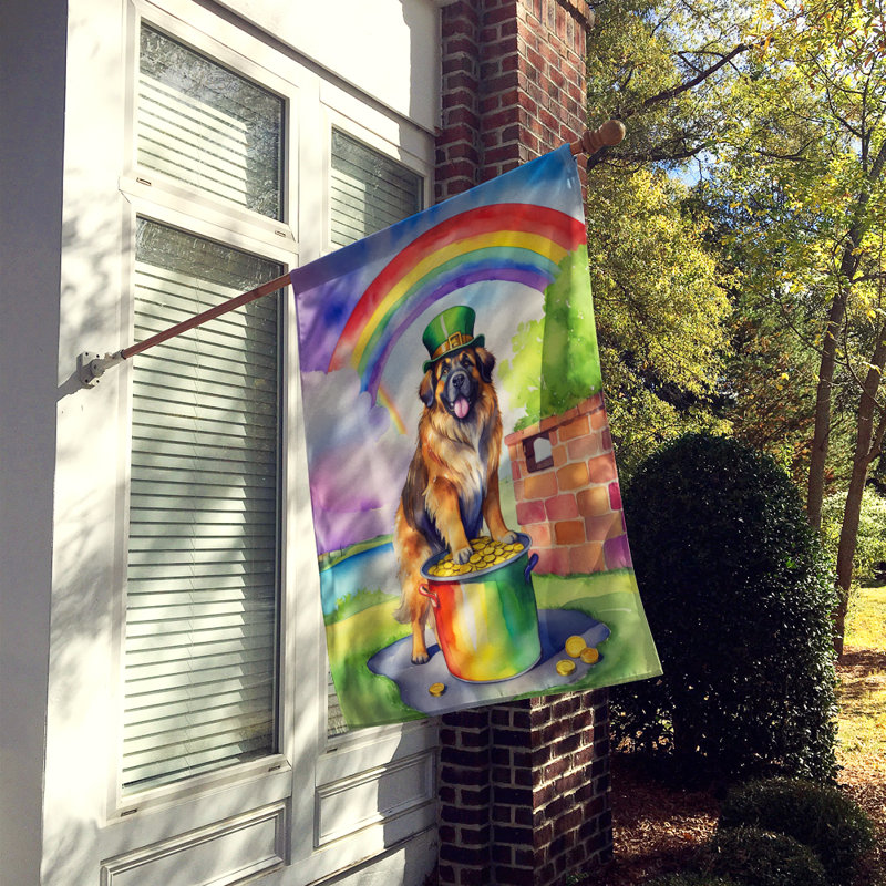 Drapeau double face en polyester H 40 po x l 28 po St Patrick's Day House
