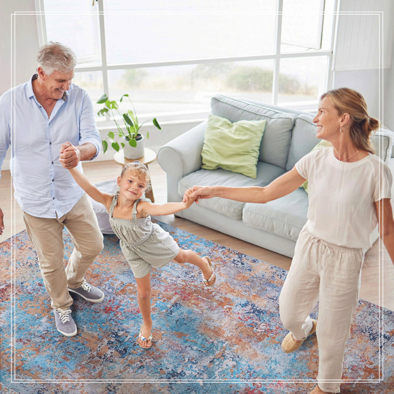 Area Rug For Living Room, Washable Rug, Low-Pile, Non-Slip, Non-Shedding, Foldable, Kid & Pet Friendly - Area Rugs For Living Room, Bedroom, Kitchen, Dining Room Rug, (Multi)