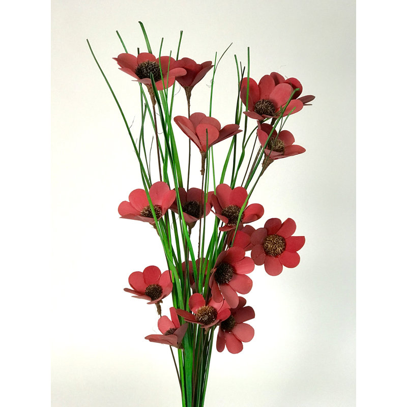 Tiges de coquelicots sauvages, Rouge