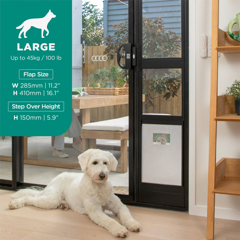 Grande porte de patio en verre noir Hakuna, Noir
