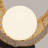 Lanai Metal Novelty Lamp-95320099