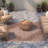 Wallington Striped Indoor Rug-689794962