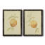 Toile encadrée de qualité supérieure «Dappled Oranges III» - prête à être accrochée-628419981-628419987