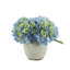 Hydrangea In Rustic Pot-1872651471