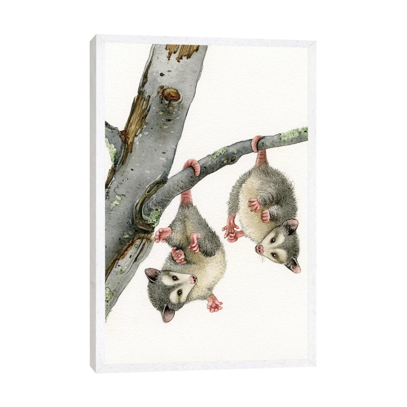 Playful Possums 1 Piece Painting on Canvas, 66.04cm H x 45.72cm W x 3.81cm D, White Framed