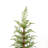 2-Piece Artificial Hinged Christmas Tree With Pots