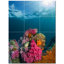 Coral Photo 8'' x 8'' Satin Ceramic Decorative Mural