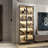 5-Tier Glass Door Display Case With Changeable LED Lights