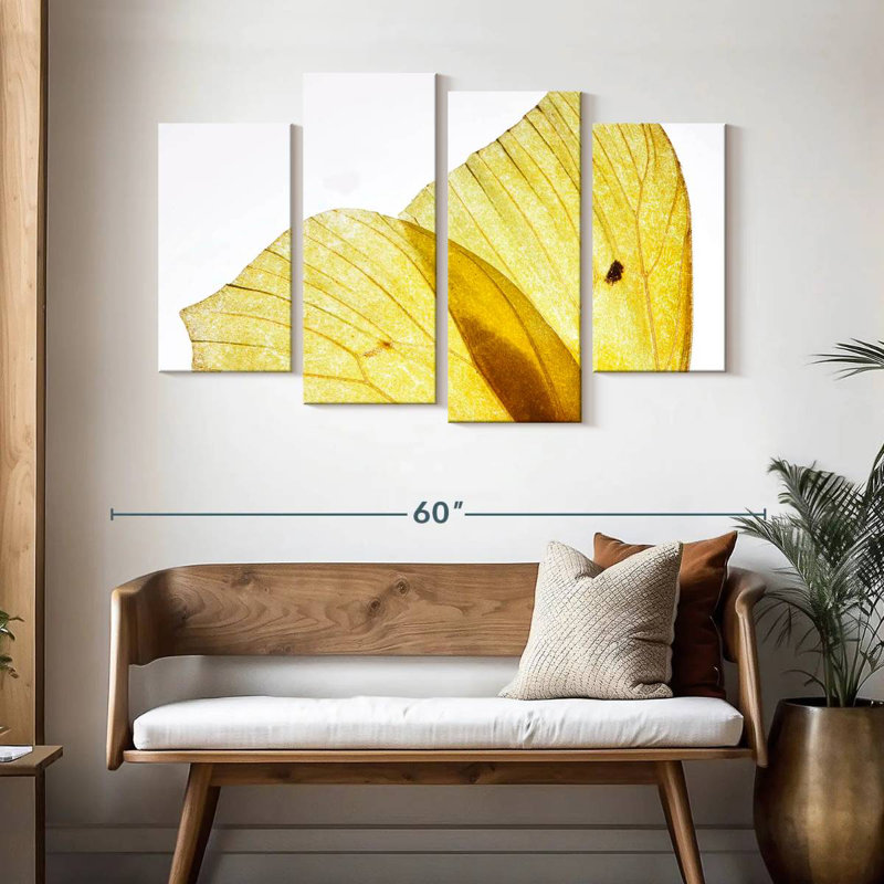 Ailes de papillon Brampt jaune doré, H 32 po x l 52 po