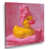 Toile tendue