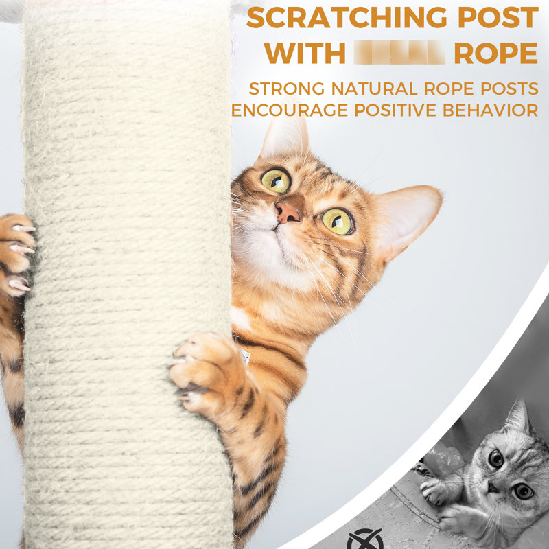 Tour pour arbre à chat 84 po gris foncé, grattoir, plateforme et installation simple avec finition, poteaux, condos spacieux pour compagnons félins