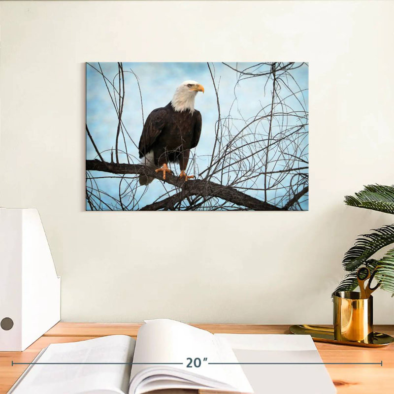 Brampt North American Bald Eagle Portrait, 8" H x 12" W