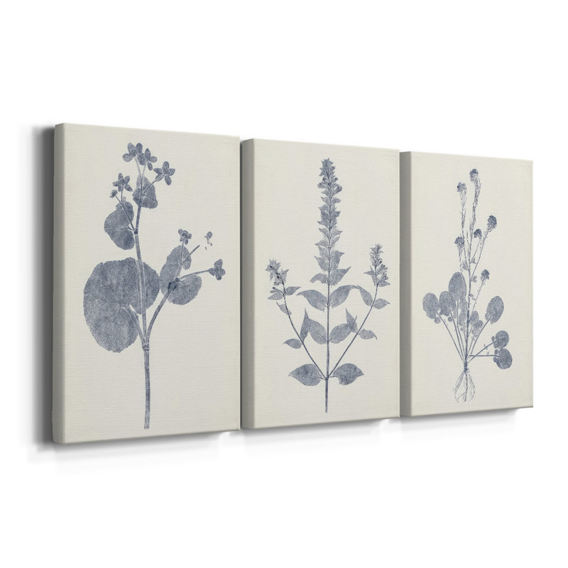 Marine Botanicals VI - Toile tendue avec châssis - 3 pièces, H 18 po x l 36 po