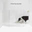 Hiddin Clear Tall Zig Zag Wall Mounted Pet Gate-111684865-68771402