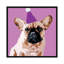 « milo on violet », reproduction d’art sur toile tendue-19752530-74736272-74736273