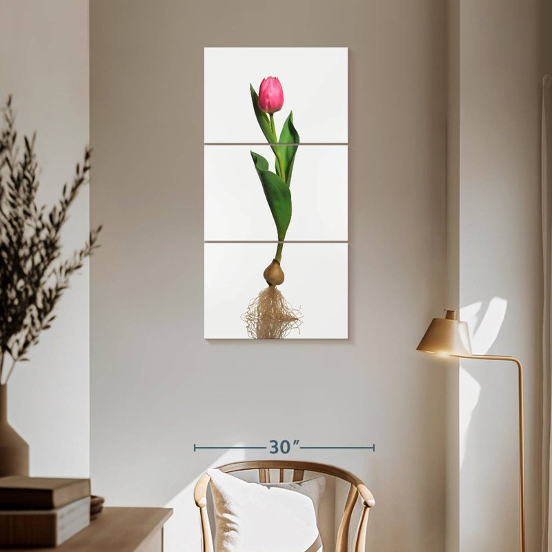 Ampoule de jardin tulipe, H 62 po x l 30 po