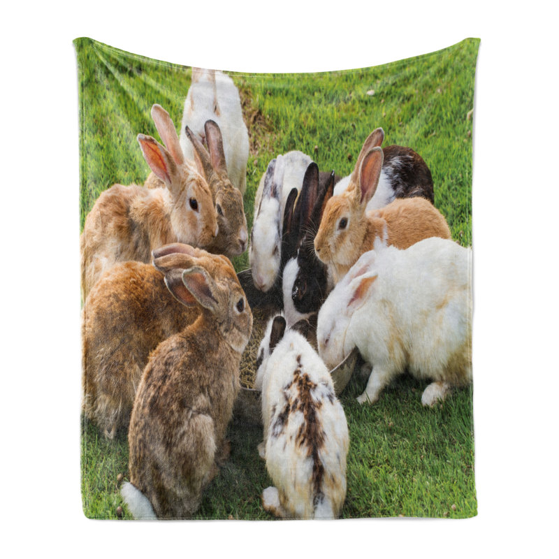 Hand Woven Throw Blanket, 60" x 80"