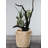 Wood Pot Planter