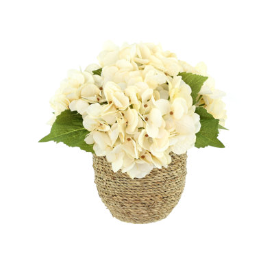 Arrangement floral d'hortensias d'automne Carytown