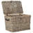 Whyte Wicker Trunk