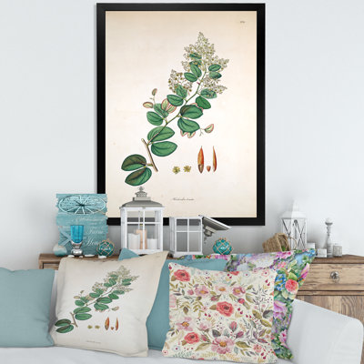 «Vintage Botanicals XIII», peinture sur toile