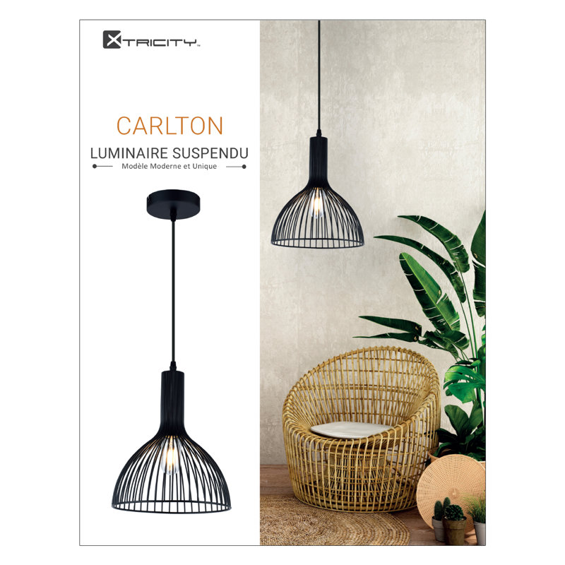 Luminaire suspendu en forme de dôme à 1 lumière Carlton, Noir