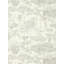 Shamwari Wallpaper-52752279