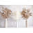 17'' Pampas Grass Plant