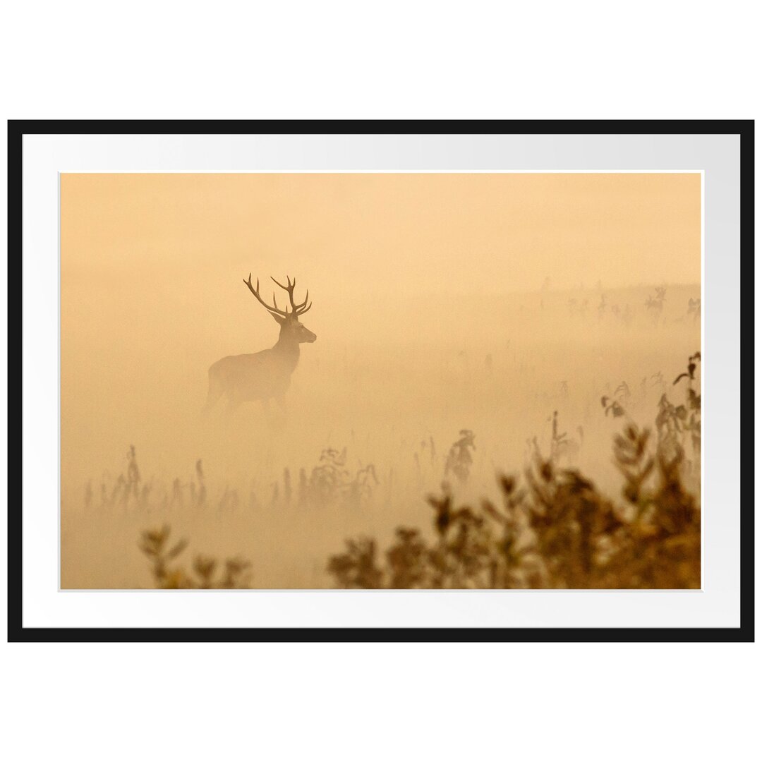 Gerahmtes Poster Hirsch im Nebel