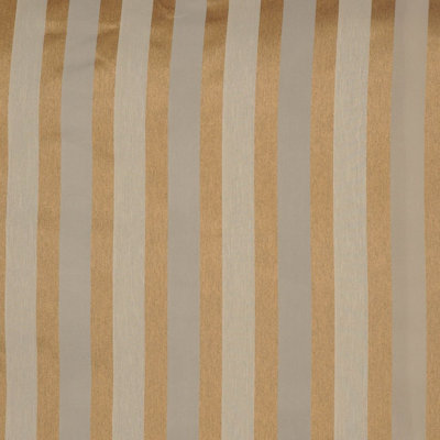 Sheer Jazz Fabric