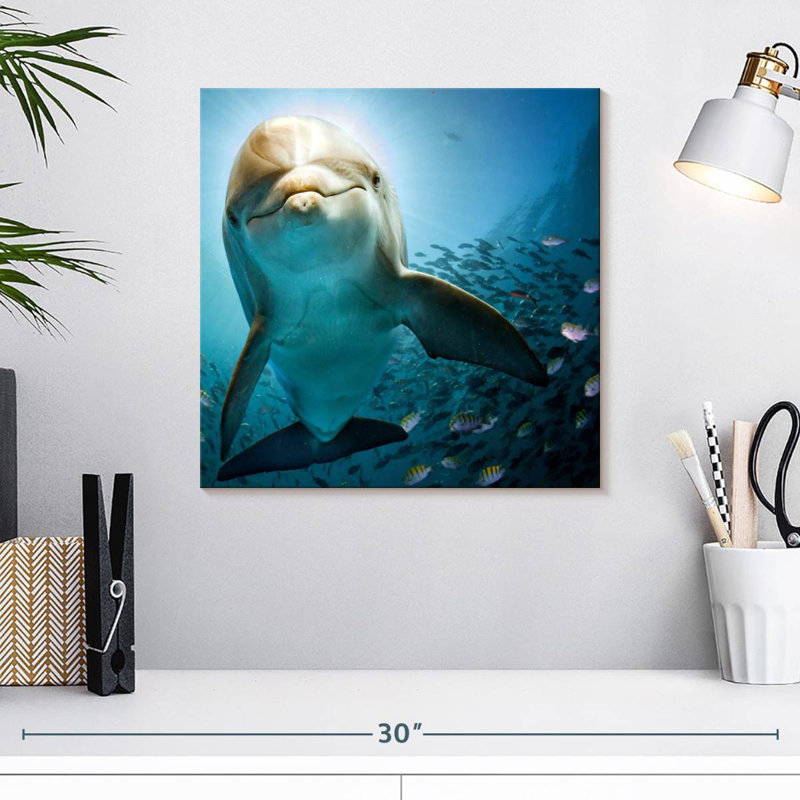 Brampt Curious Dolphin, 16" H x 16" W