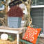 Arbre en pot 24 po-51795832