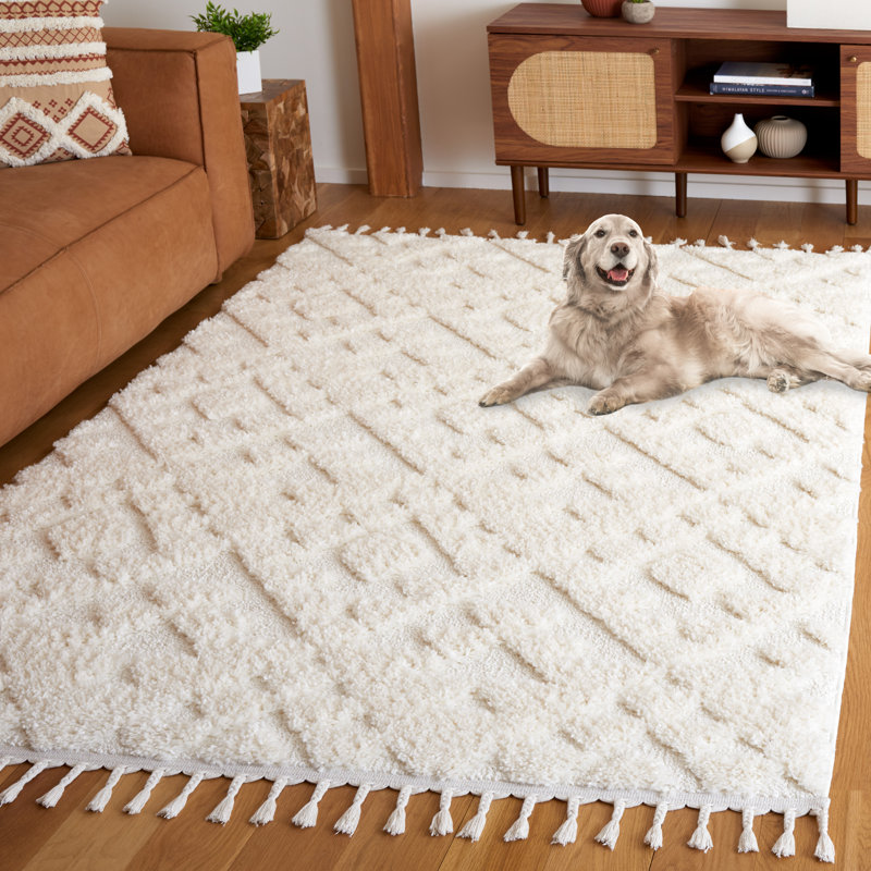 Kaitlen Tassel Shag Performance Southwestern Rug, Rectangle 5'3" x 7'6"