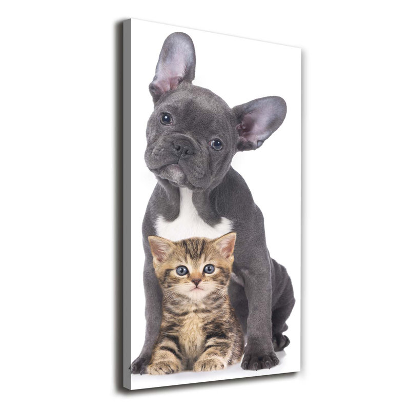 Dog And Cat - Wrapped Canvas Print