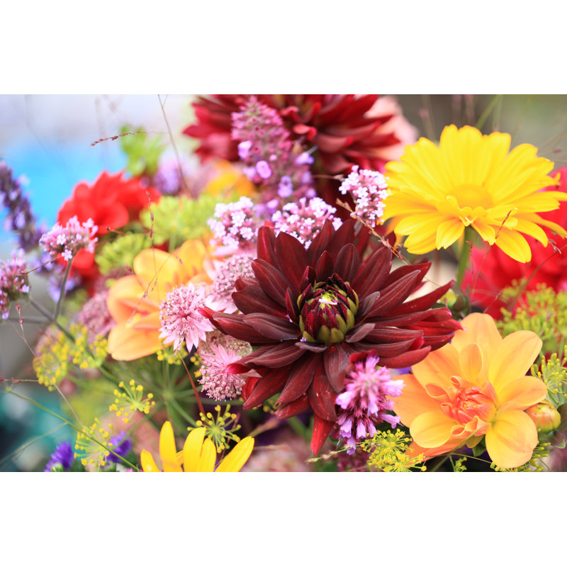 Bouquet de fleurs colorées d'été avec dahlias par Aloha_17, H 24 po x l 36 po