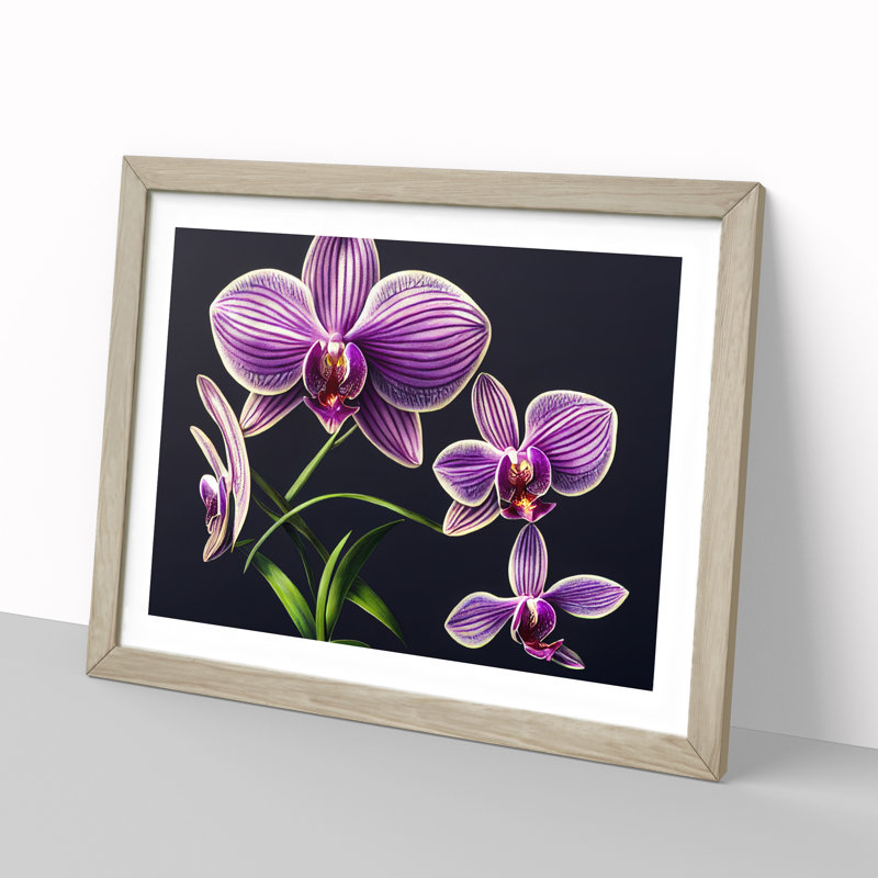 Dreamlike Orchid Flowers 1 Piece Single Picture Frame Wall Art, 34cm H x 46cm W, Oak