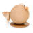Borrego Scratching Sphere