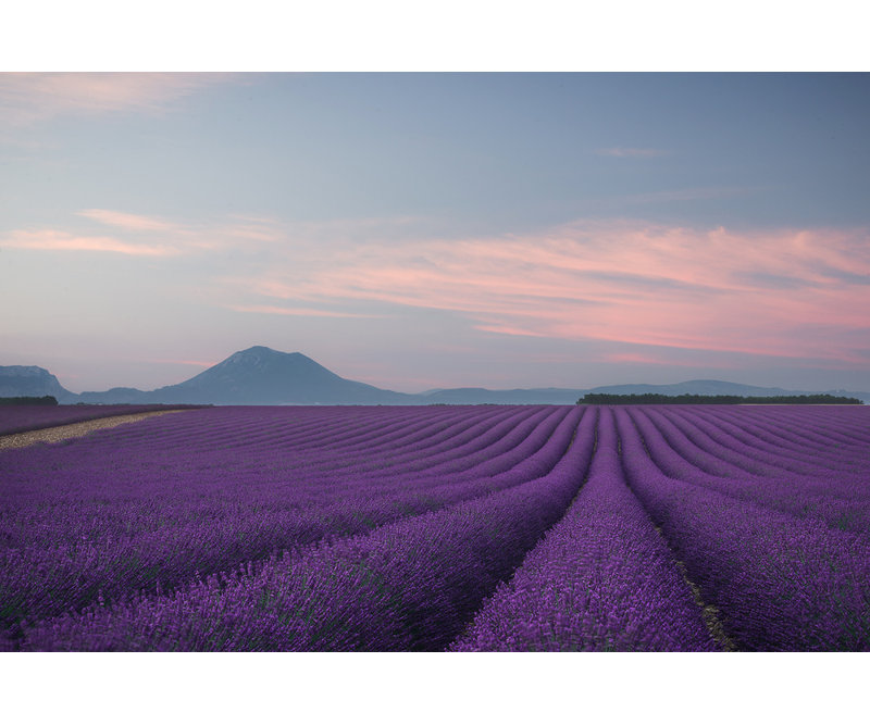 Wrapped Canvas Print, 60.96 cm H x 91.44 cm W