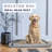 Dog Crate with Removable Tray and Bed-1812488632