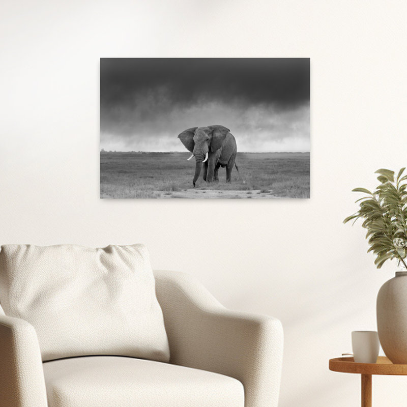 Print, 40.64cm H x 60.96cm W