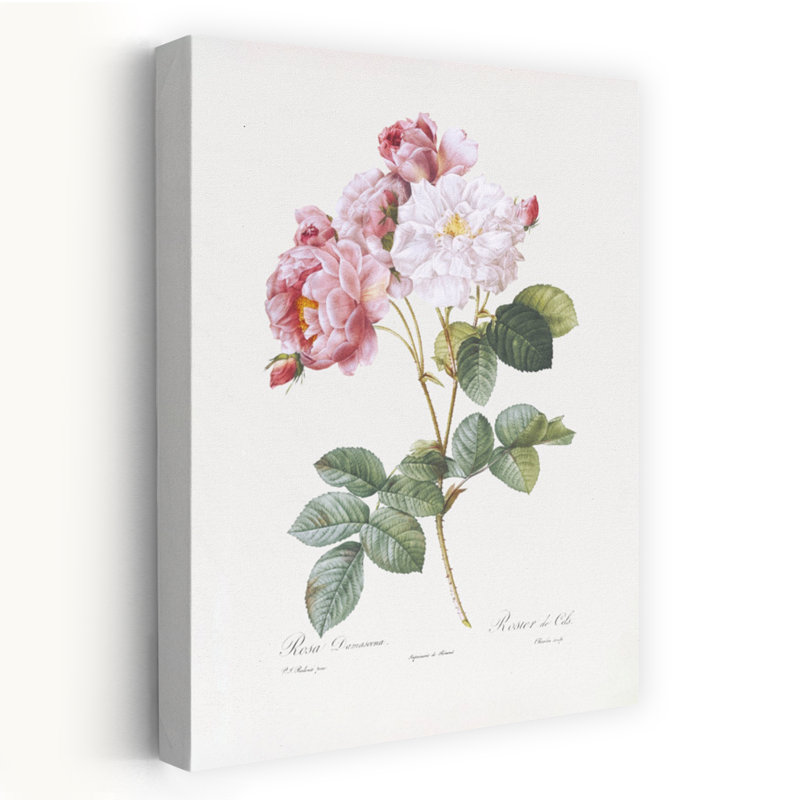 Rosebush, rétro, rétro, fleur rétro, art mural, H 48 po x l 32 po