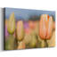 Ouverture sur la toile tendue Sun-Gallery-503677671