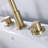 Widespread 2-handle Bathroom Faucet-63881186