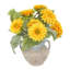 Sunflowers Arranged in Stone Vase