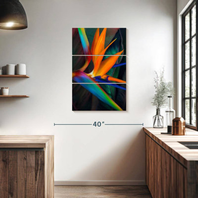 Harnek Colourful Birds Of Paradise