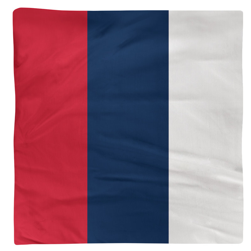 Serviette pour dîner de hockey Washington, 22 po x 22 po, Rouge / bleu / blanc, Polyester