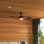 Amiliah 52'' Ceiling Fan with LED Lights