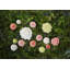 Maria Flor Earthenware Salad/Dessert Plate
