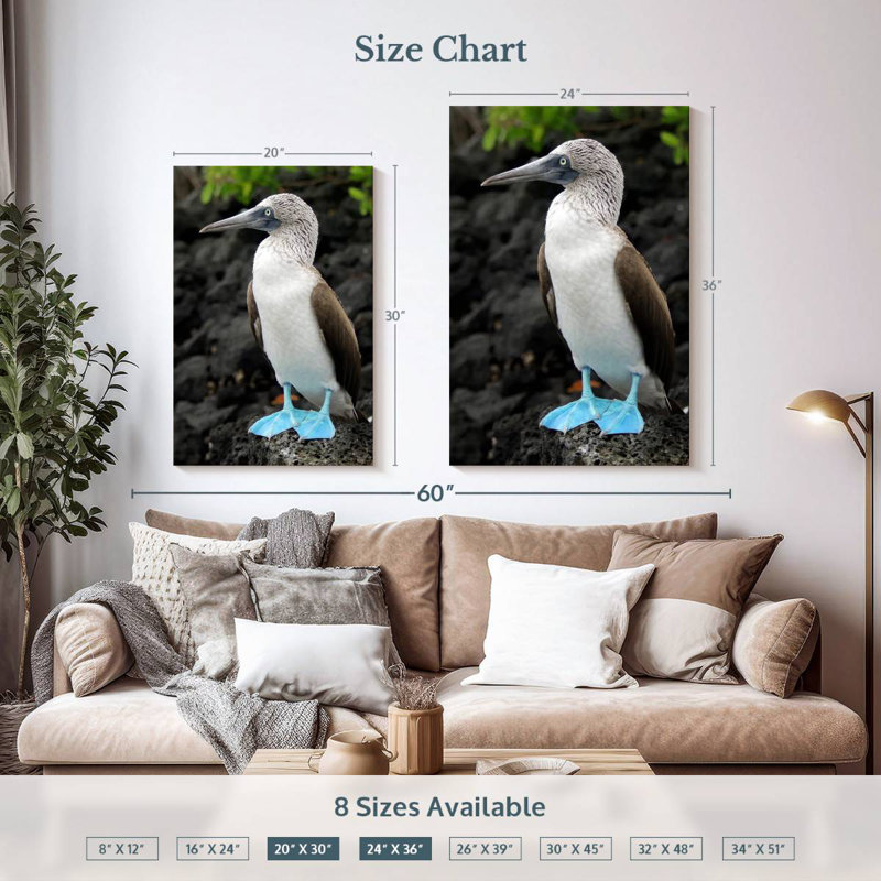 Brampt Blue-Footed Booby Birds, 36" H x 24" W