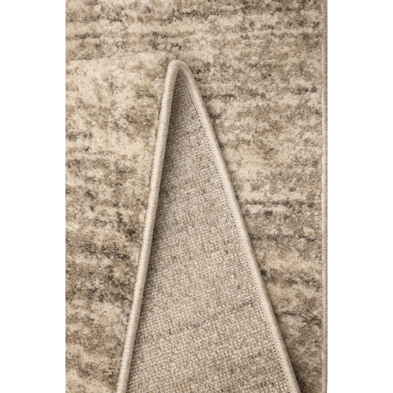 Shianne Oriental Area Rug, Rectangle 160 x 230cm